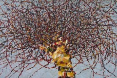 tree-study