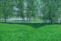 greenfields42x68