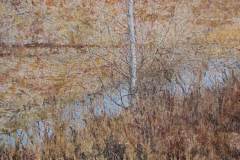 serpentine1_48x72
