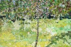 Little-Pear-Tree-2