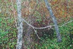 exchanging36x60