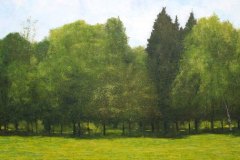 fieldwithtreeline36x72