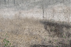1679770305-newday60x36