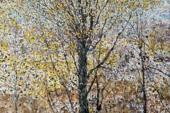 1751499573-dispatch30x24