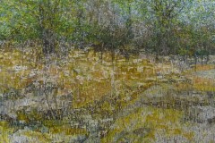 2trees44x52
