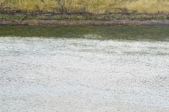 4-concordancelightripple72x48