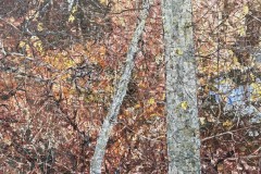 flicker44x52